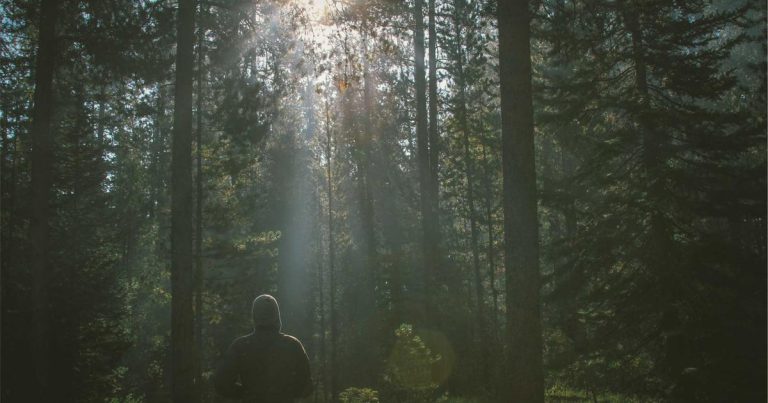 Using AI as a thinking partner not a shortcut - practical playbook