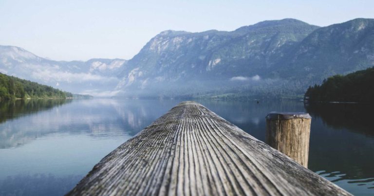 Build custom software systems instead of buying SaaS