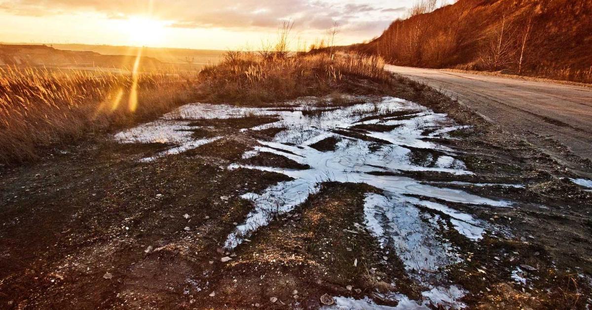 Why WordPress is the best platform for business after 20 years